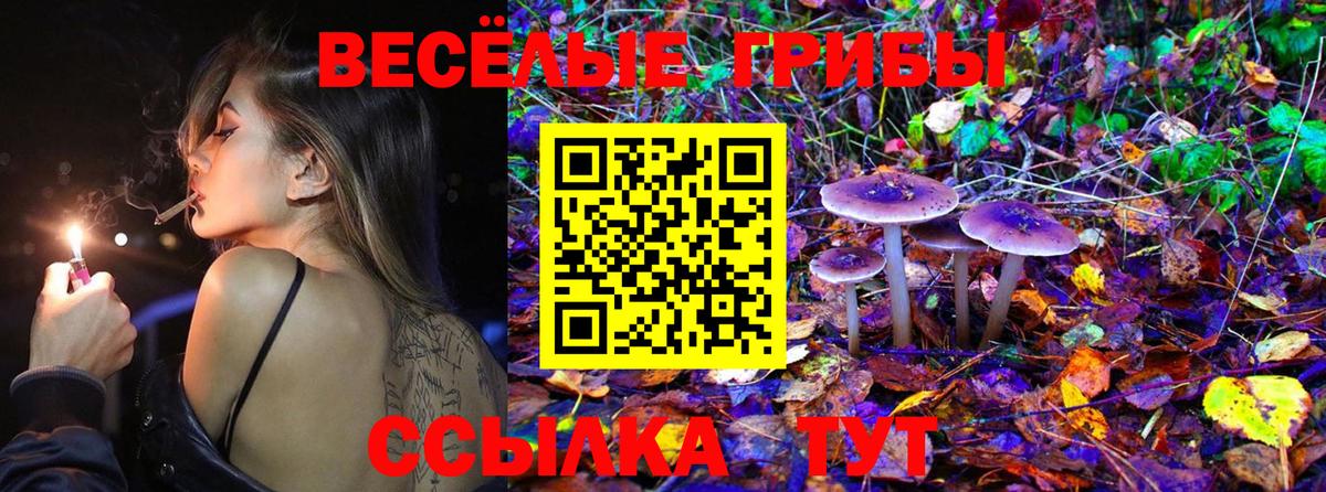 что такое   Вход с VPN  Избербаш  Галлюциногенные грибы мухоморы  Галлюциногенные грибы Psilocybe 