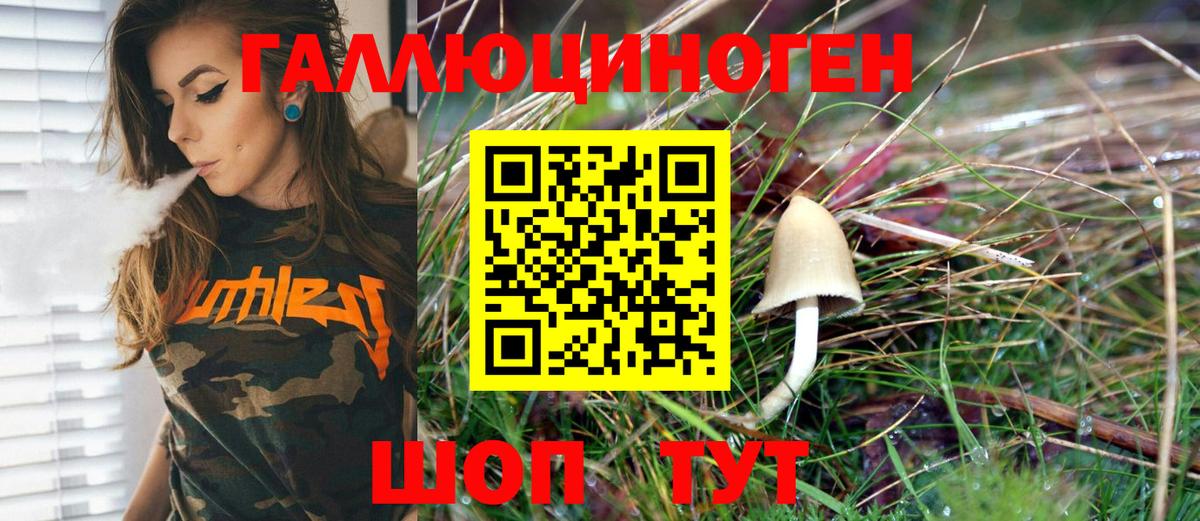 Псилоцибиновые грибы MAGIC MUSHROOMS Избербаш